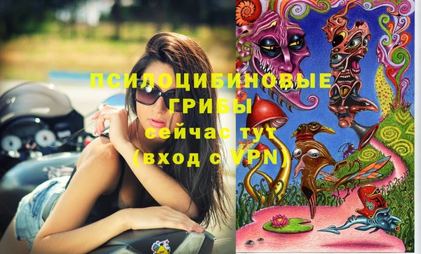 ешки Абаза