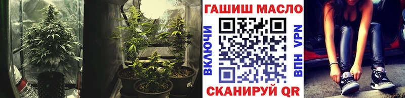 ТГК Wax Елизово