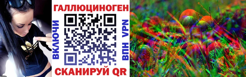 Галлюциногенные грибы Psilocybe  Елизово 